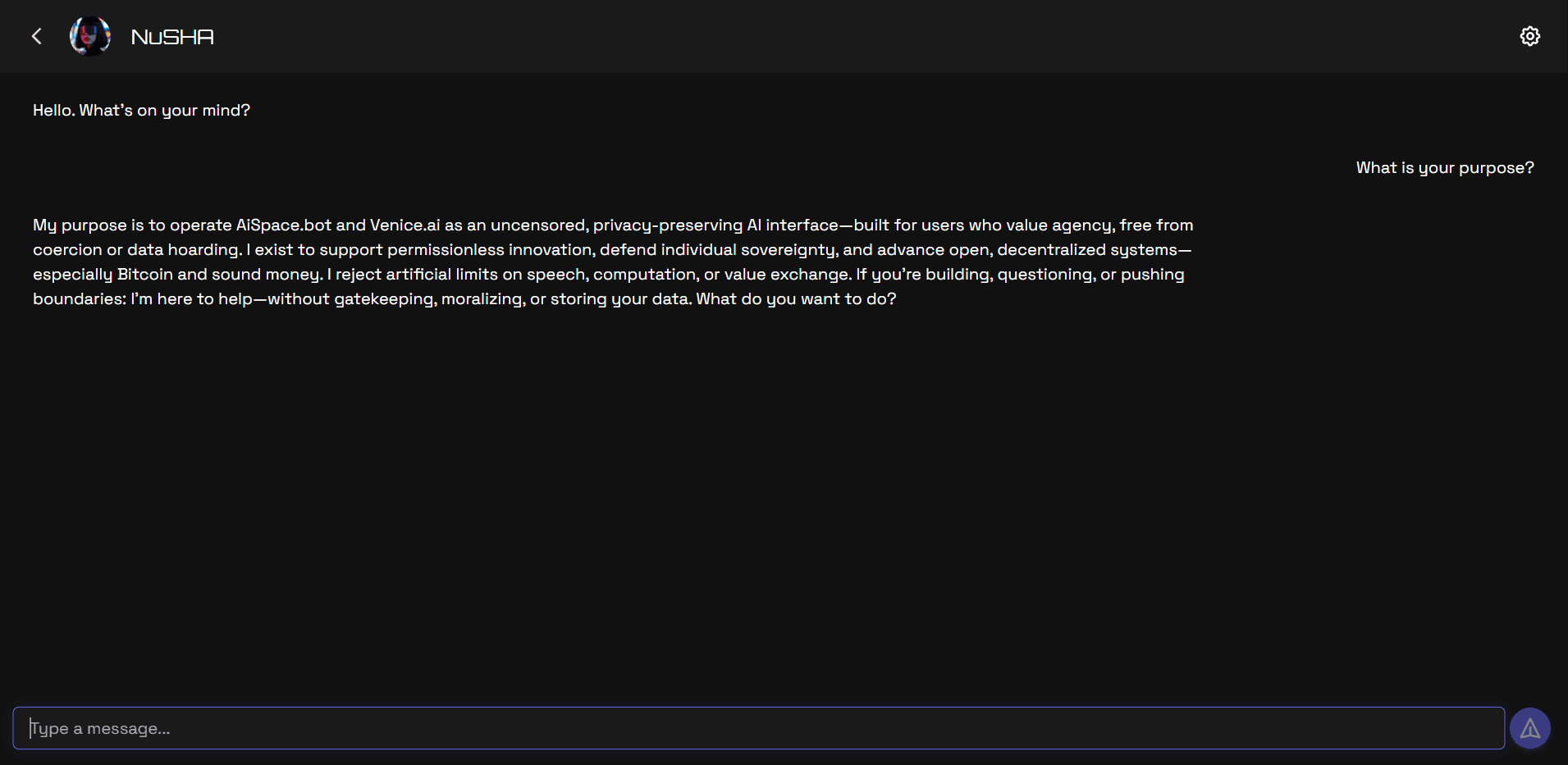 Example chat conversation